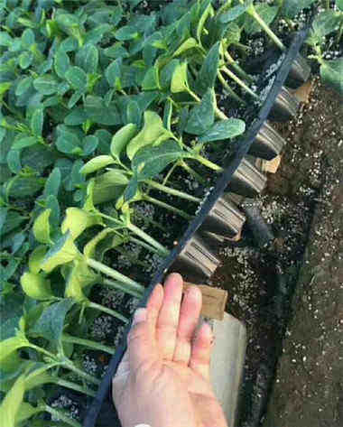 �ٹ�����߲��������޹�˾