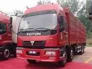 �нӹ����������������