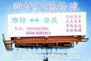 Ϋ������������ר��